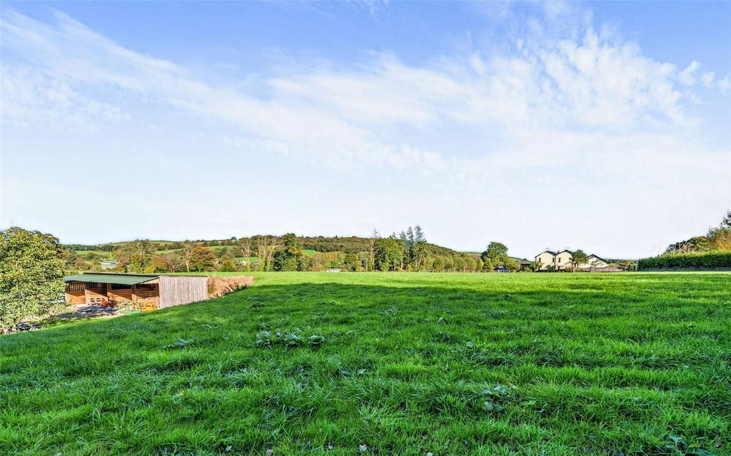 Pasture Field