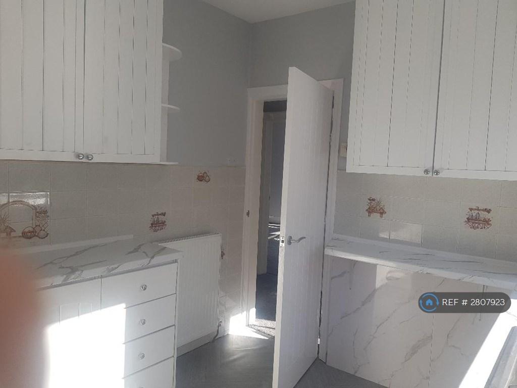 Newly Renovated Kitchen