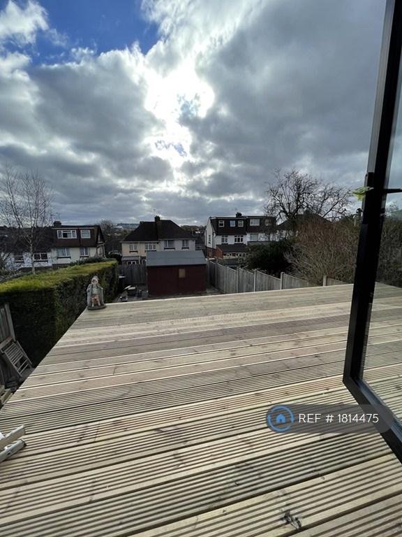 Rear Decking