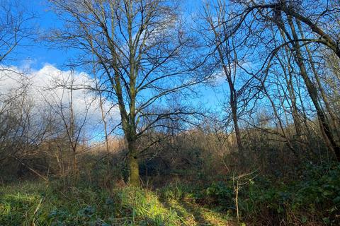 undefined, South Newdigate Wood, Rusper, near Crawley, West Sussex RH12