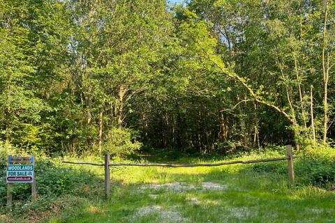 undefined, Reamy Wood, Shadoxhurst, near Ashford, Kent TN26