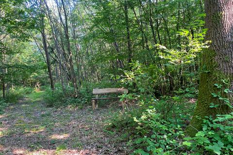 undefined, Reamy Wood, Shadoxhurst, near Ashford, Kent TN26