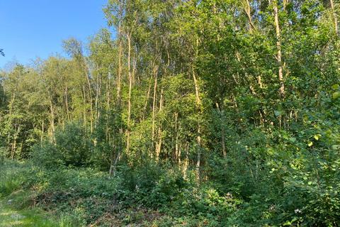 undefined, Reamy Wood, Shadoxhurst, near Ashford, Kent TN26