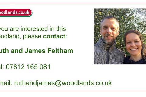 undefined, Reamy Wood, Shadoxhurst, near Ashford, Kent TN26