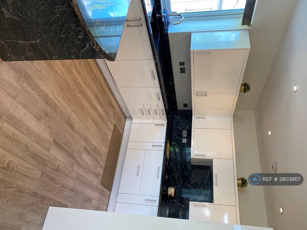 Integrated Kitchen Appliances