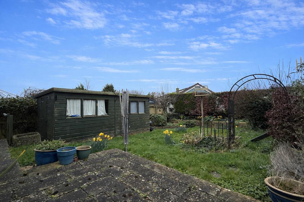 Garden shed with blooming daffodils.png