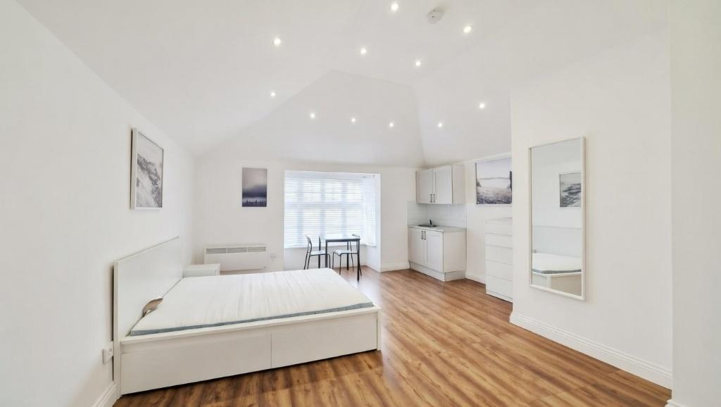 Bright, modern studio-style bedroom with a doub...