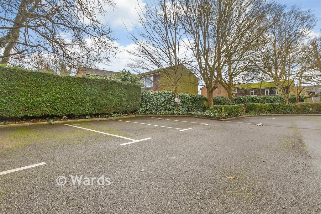 Driveway/Parking