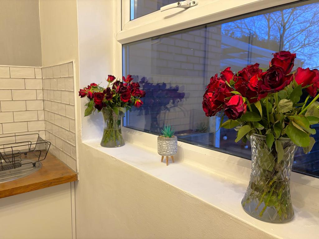 27 Clovely kitchen plant.jpeg