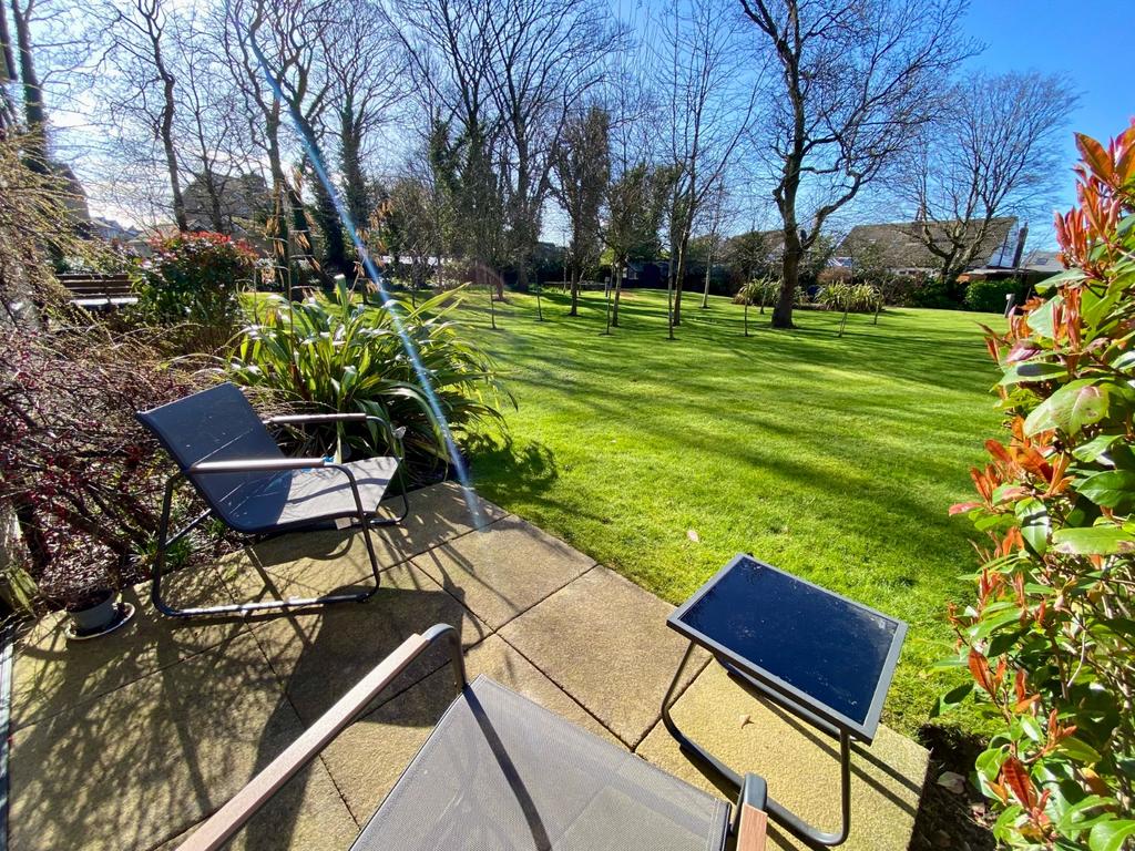 View From Patio Door
