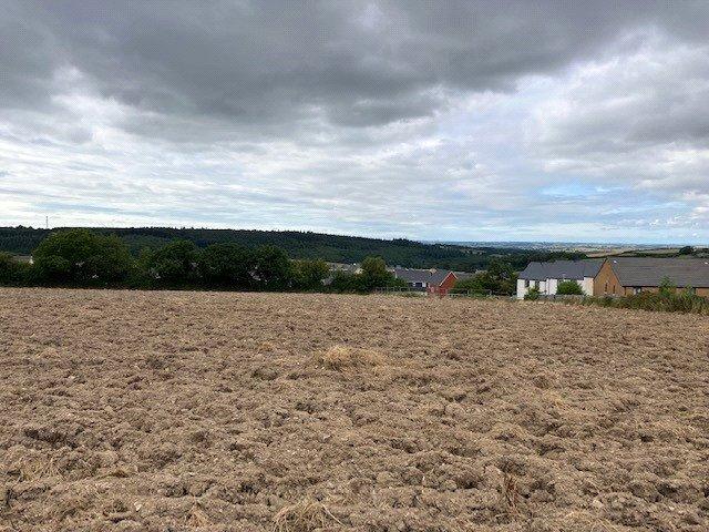 The Site