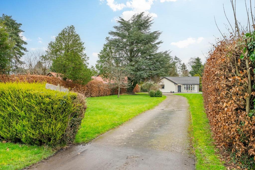Driveway