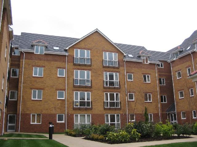 24739 IMG 00.jpg