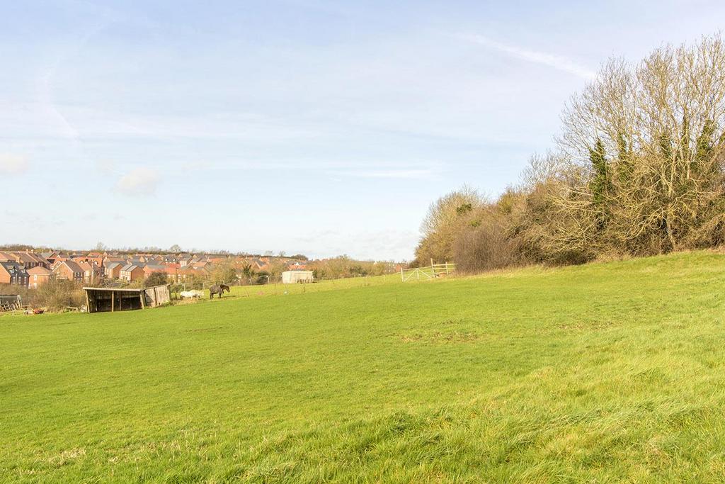 View from Rear of Garden