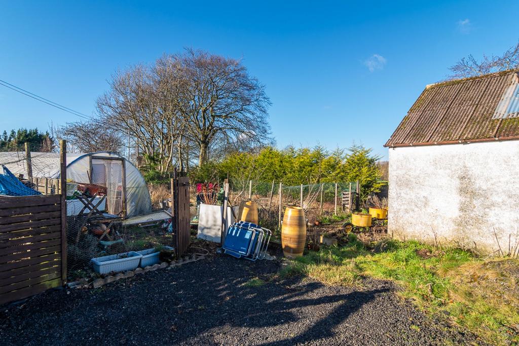Vegetable plot