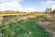 Additional image 3 of East of Bennetts Lane, Pattingham, Wolverhampton, WV6