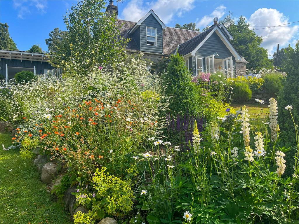 Summer Garden