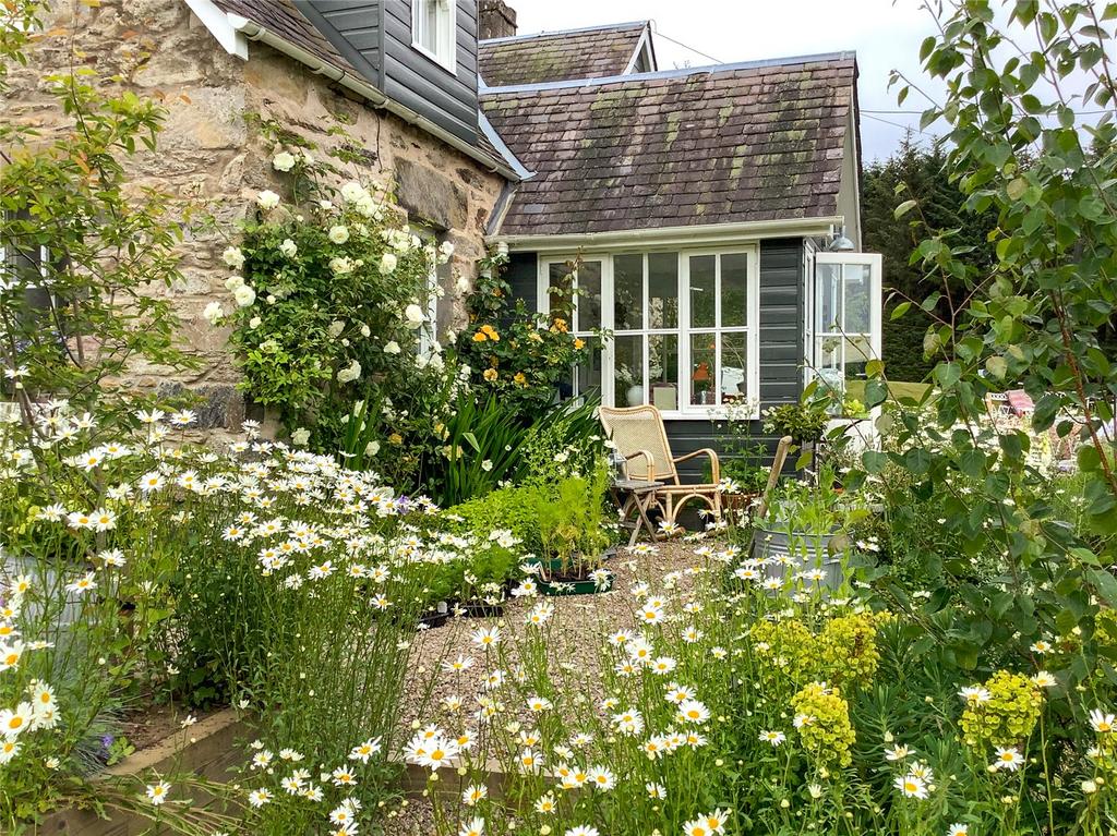 Summer Garden