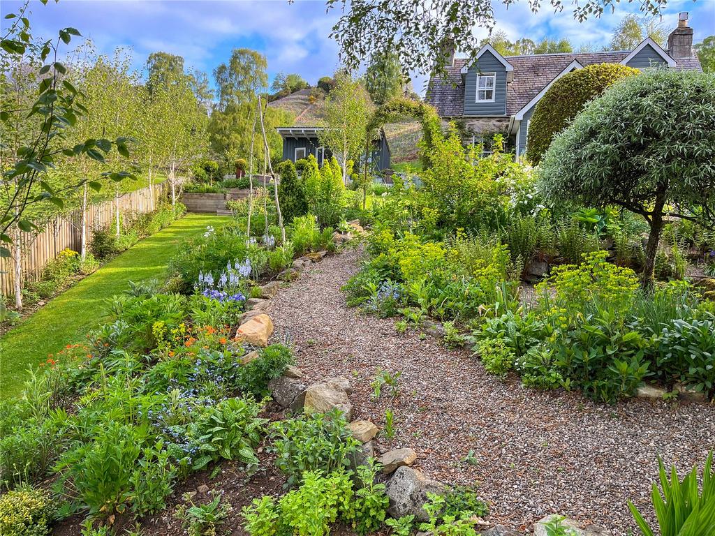 Summer Garden
