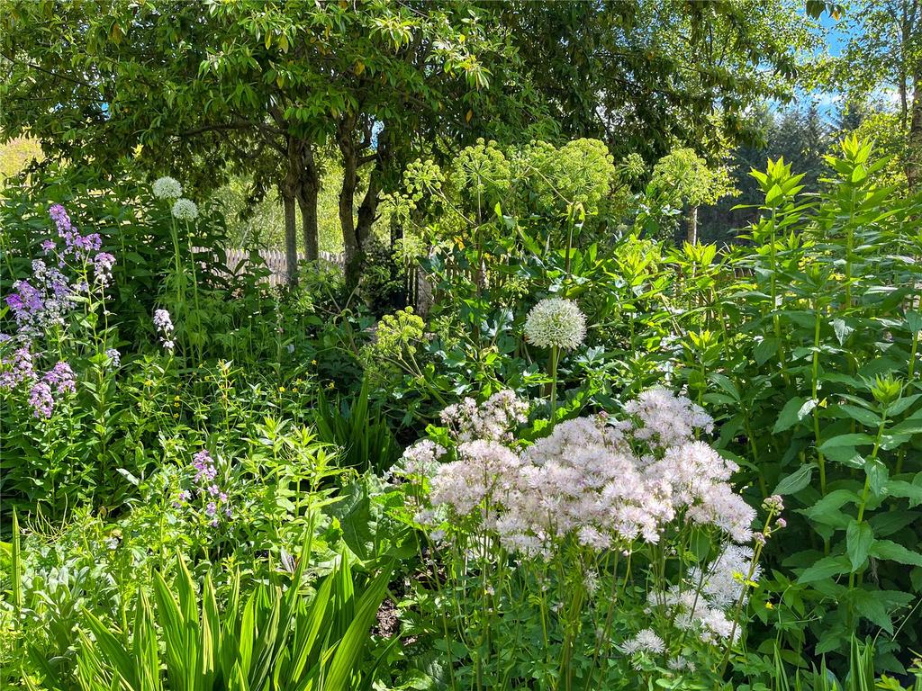 Summer Garden