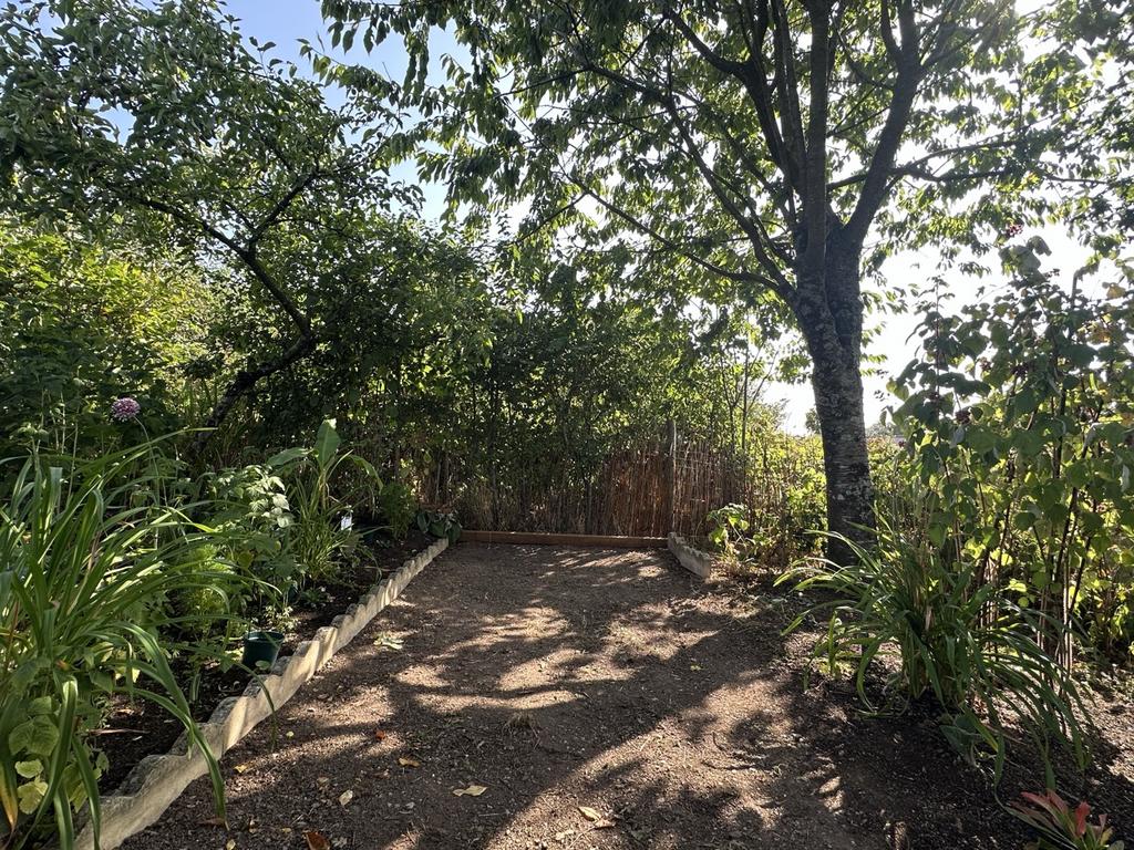 Garden-2 T202602251644.jpeg