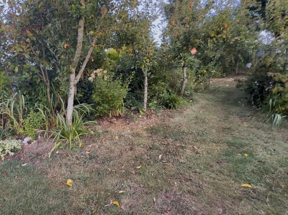 Garden-5 T202602251644.jpeg