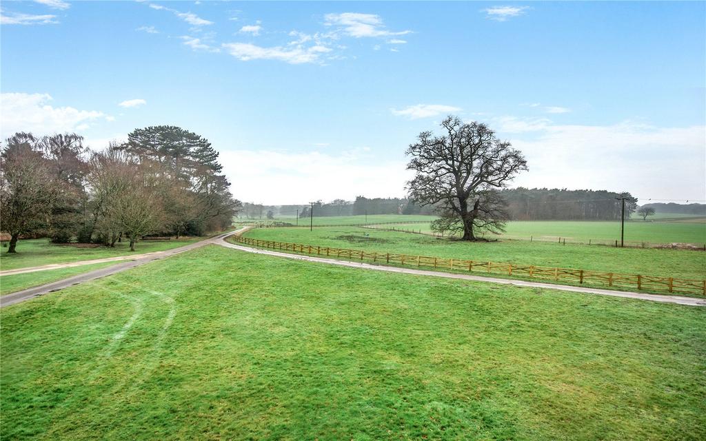 Grounds