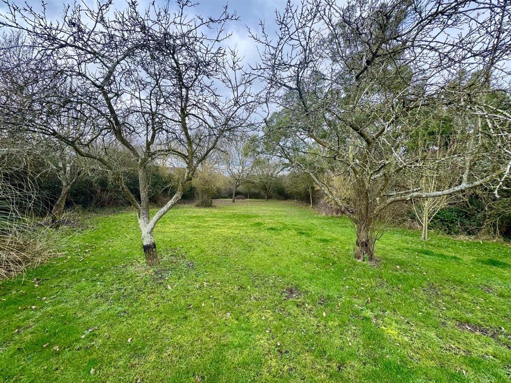 Garden 2.jpg