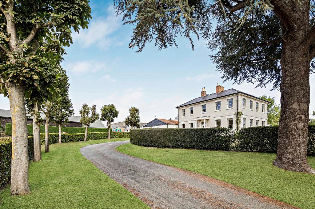 Tree-Lined Driveway
