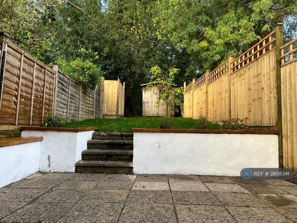 Back Garden