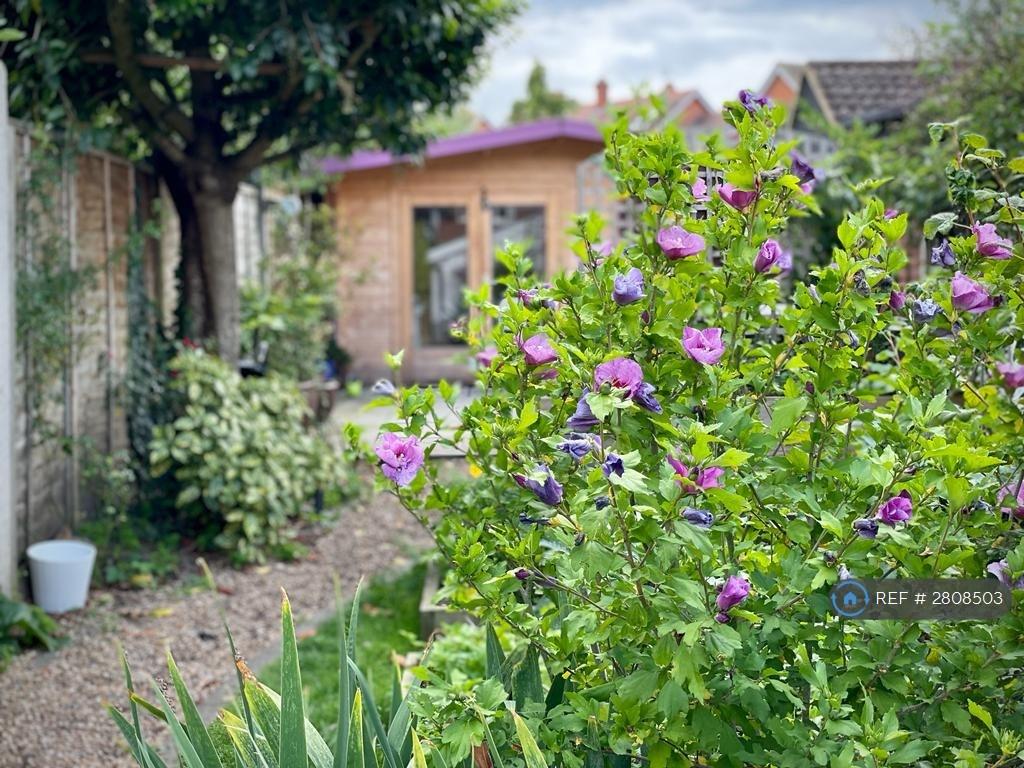 Back Garden - Summerhouse