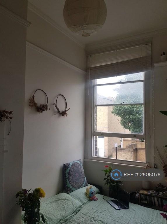 Kitchen Window