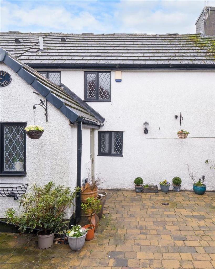 P untitled (15 of 18).jpg