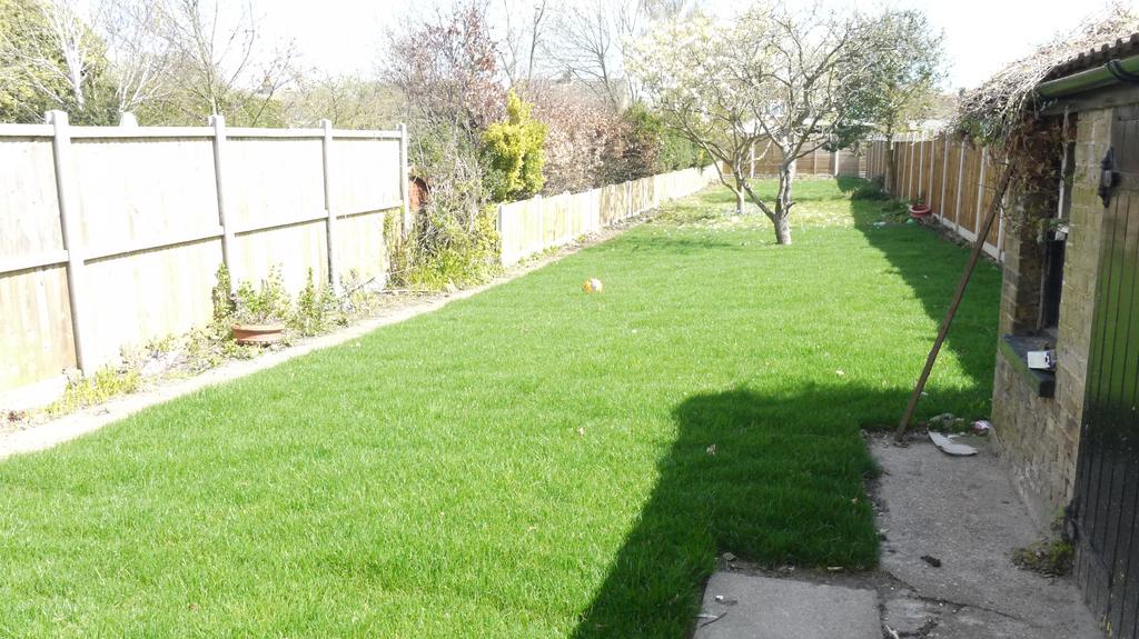 Rear Garden photo 1