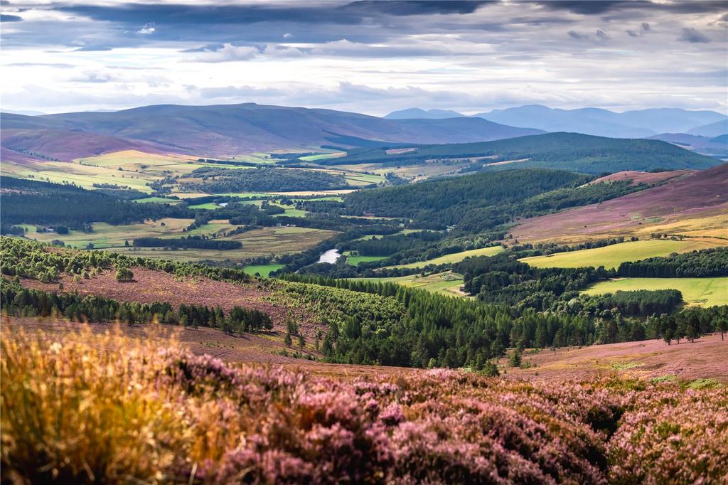 Tulchan Estate