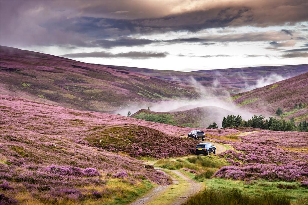 Tulchan Estate