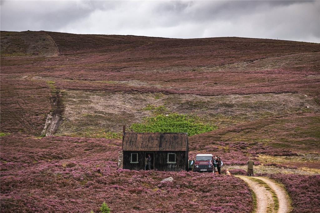 Black Hut