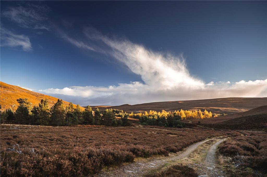 Tulchan Estate