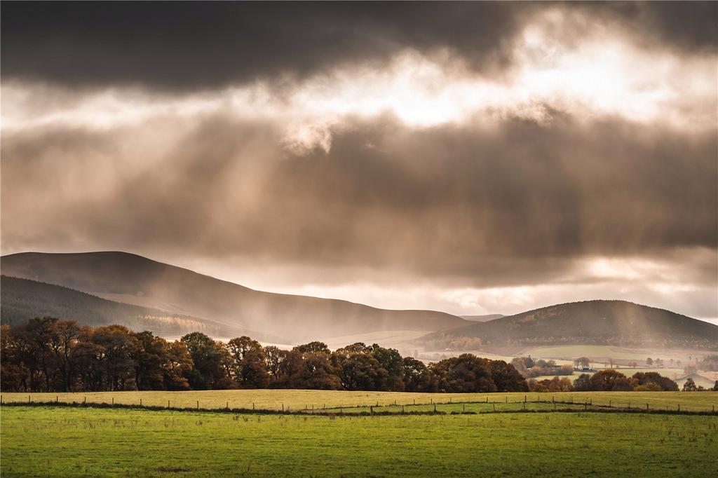 Tulchan Estate