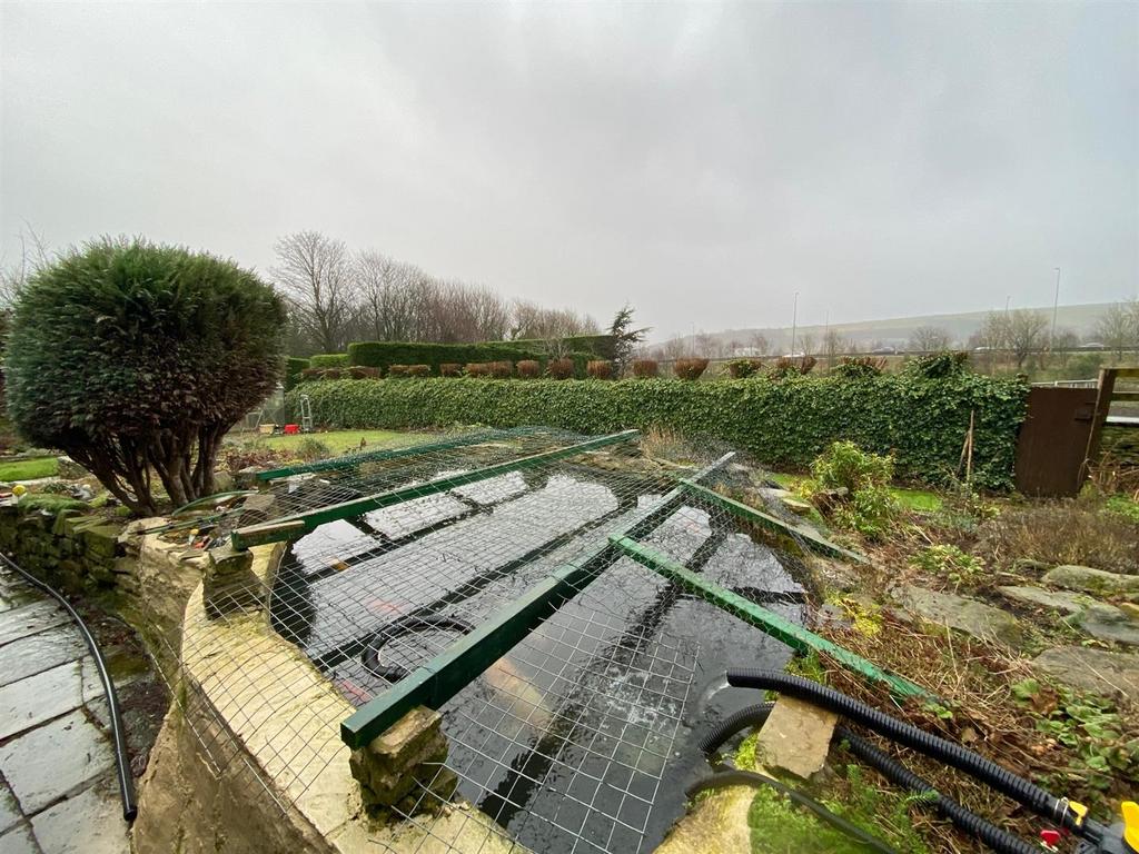 Fish pond.jpg