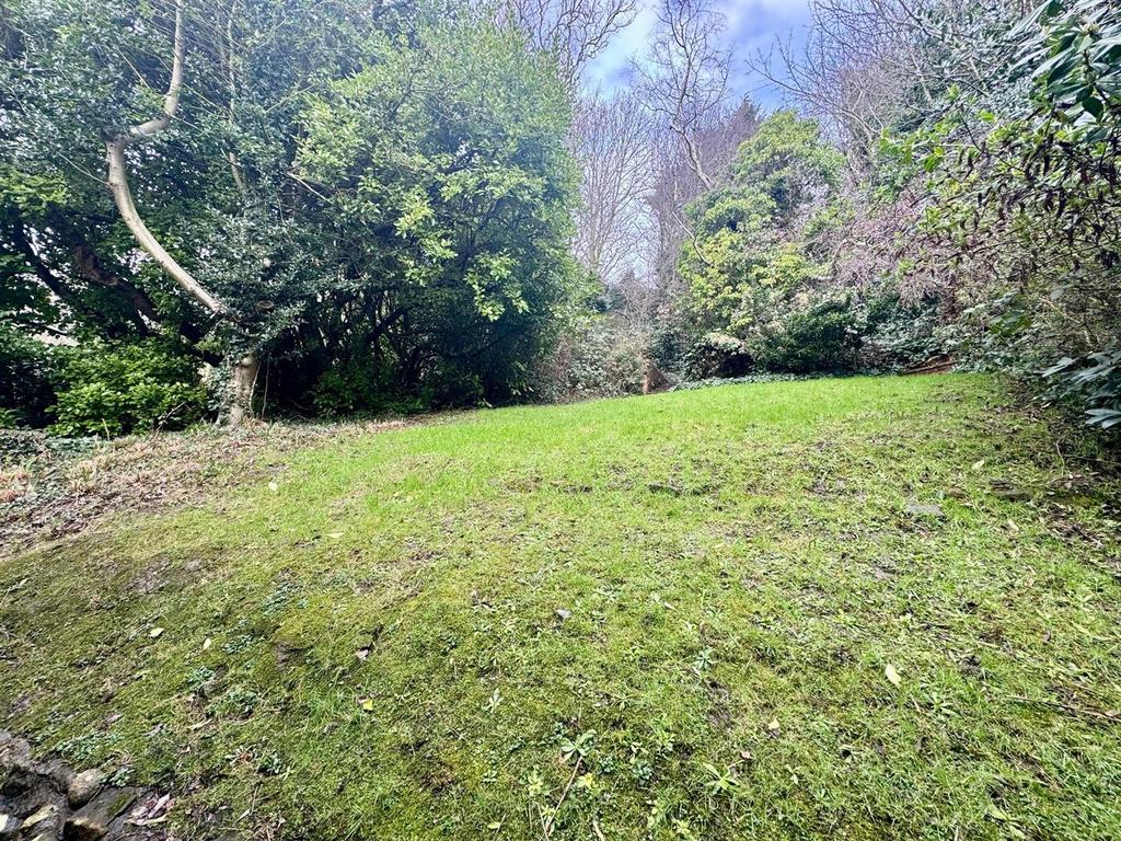 Garden 7.jpg