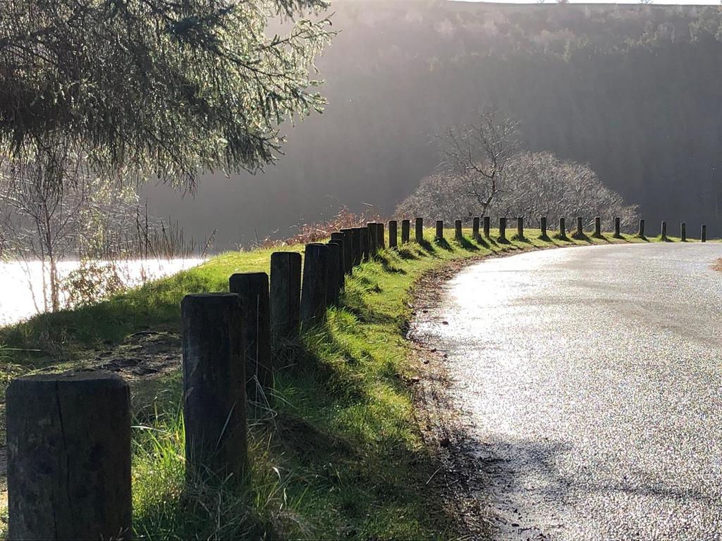 Access Road