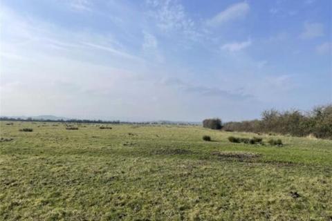 undefined, Gaunts, Pawlett, Bridgwater
