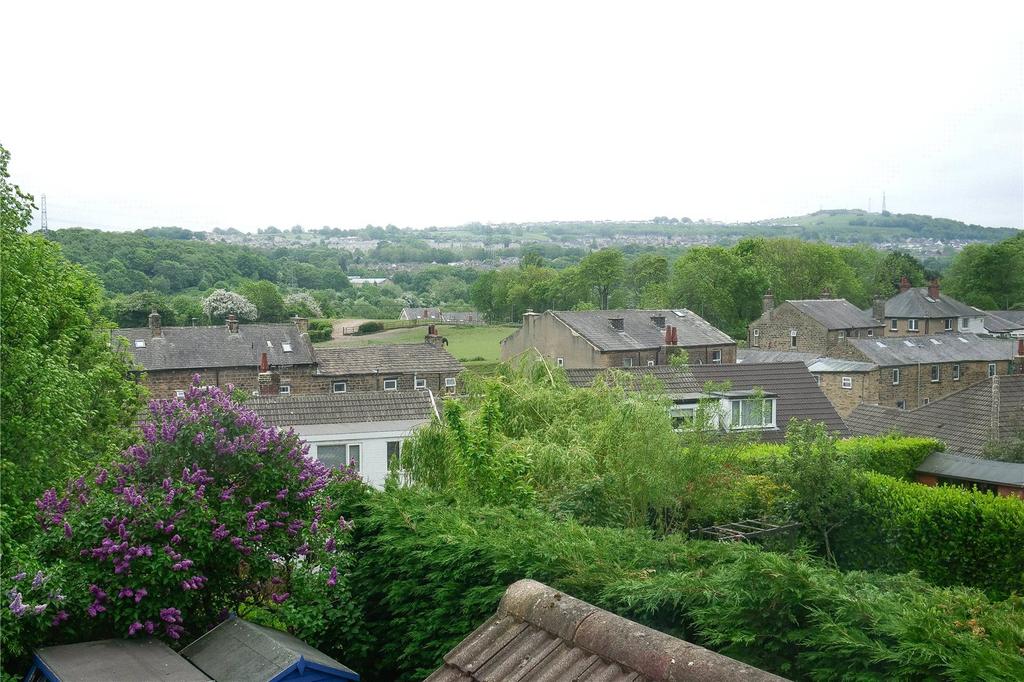 Picture No. 16