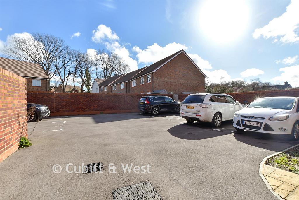 Driveway/Parking