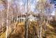 Additional image 27 of Chaplain's House, Dall, Rannoch, Pitlochry PH17 2QH