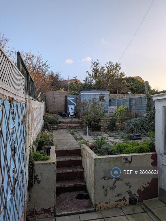 Garden 1