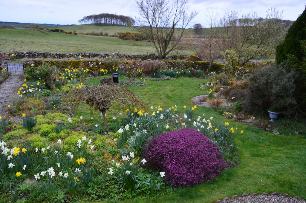 Croft House, Wigtown - Williamson and Henry