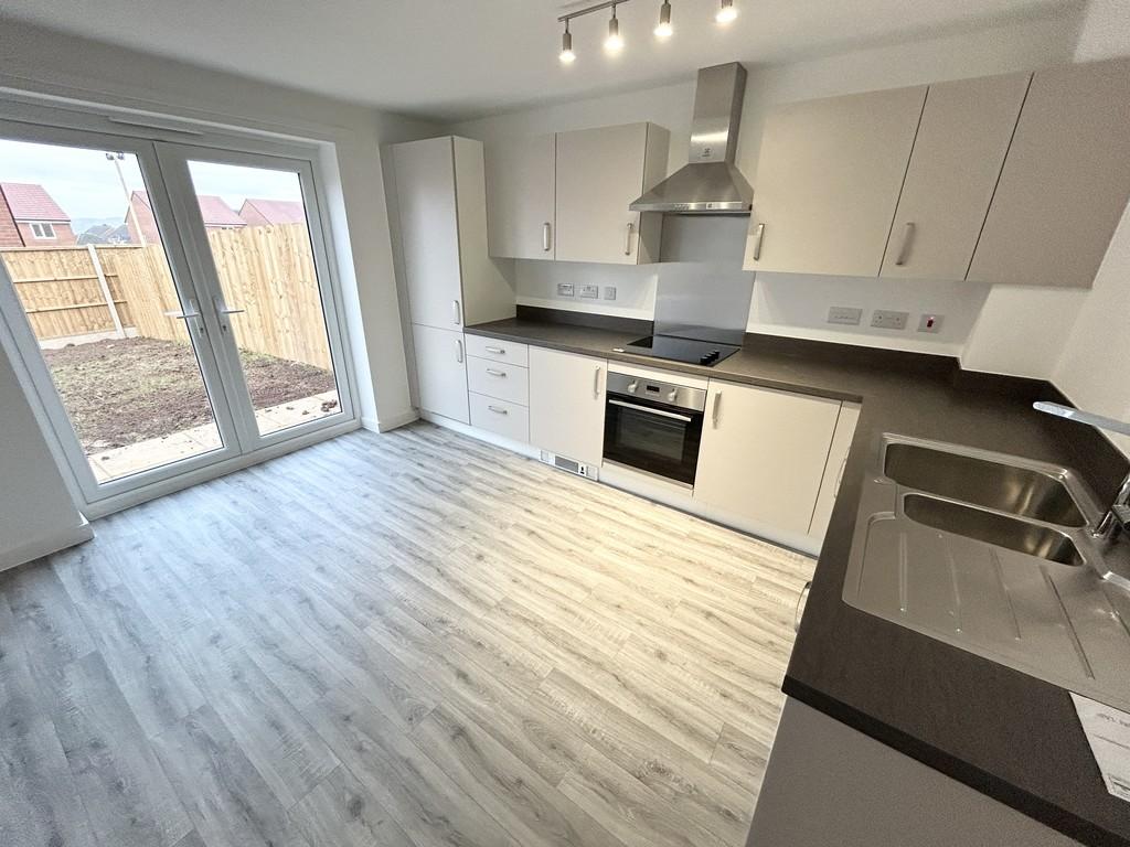 Img 2547
