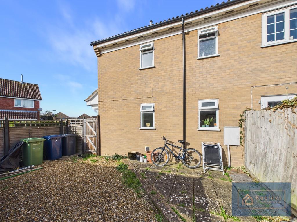 Back garden